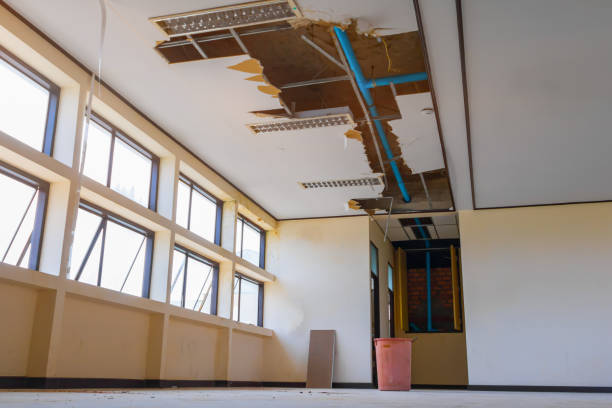Best Flood damage cleanup  in Bunkie, LA