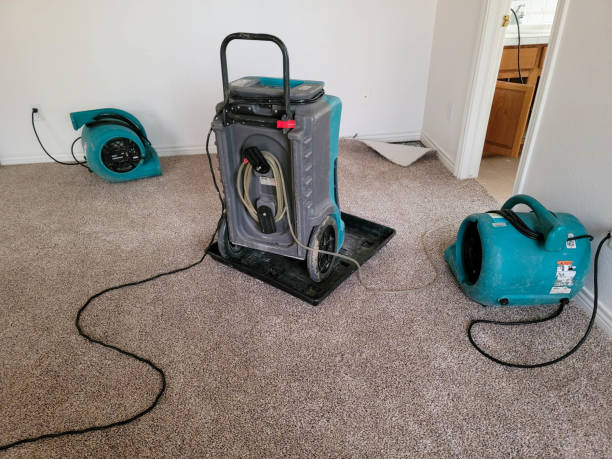 Best Carpet water damage restoration  in Bunkie, LA