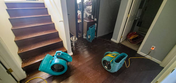 Best Commercial water damage restoration  in Bunkie, LA