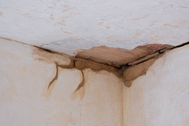 Water damage restoration experts in LA