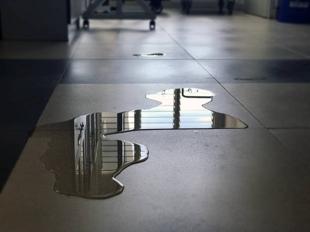 Best 24/7 water damage repair  in Bunkie, LA