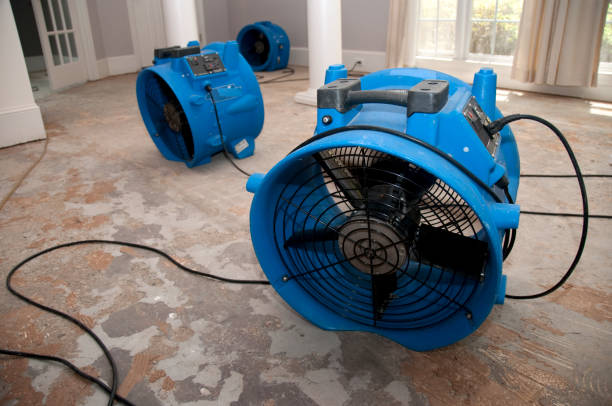 , LA Water damage restoration Company
