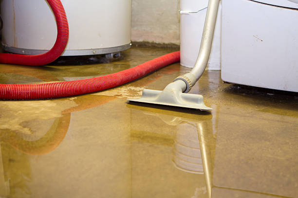 Best Water damage contractors near me  in Bunkie, LA