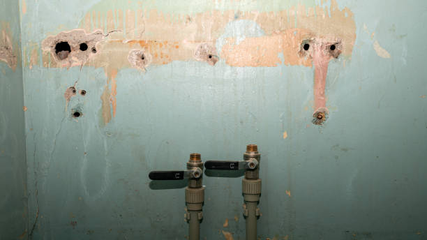 Best Professional water damage repair  in Bunkie, LA