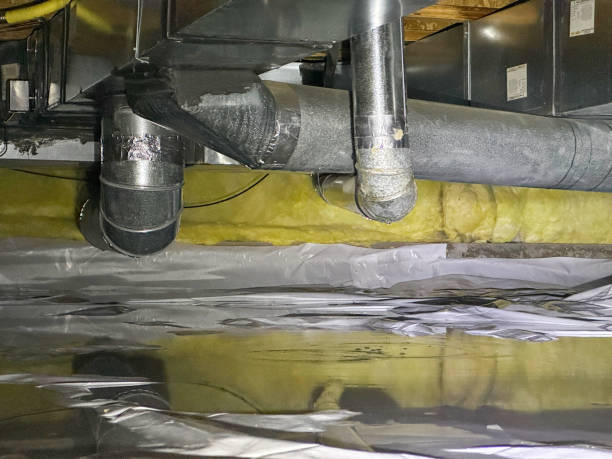 Best Basement water damage restoration  in Bunkie, LA