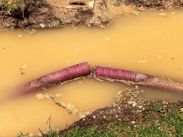 Best Local water damage restoration  in Bunkie, LA
