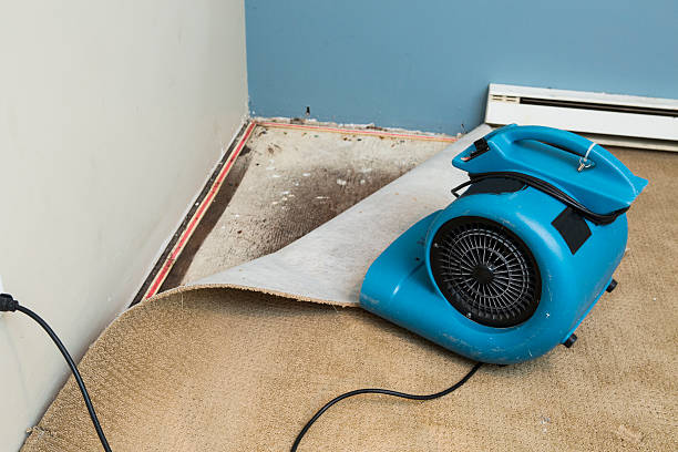  Bunkie, LA Water damage restoration Pros
